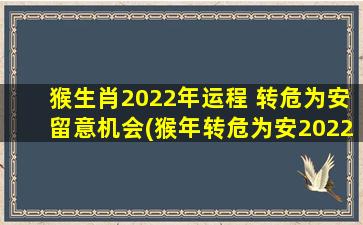 猴生肖2022年运程 转危为安留意机会(猴年转危为安2022，把握机遇获好运)